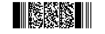 PDF417 Barcode