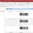 ActiveBarcode: Access